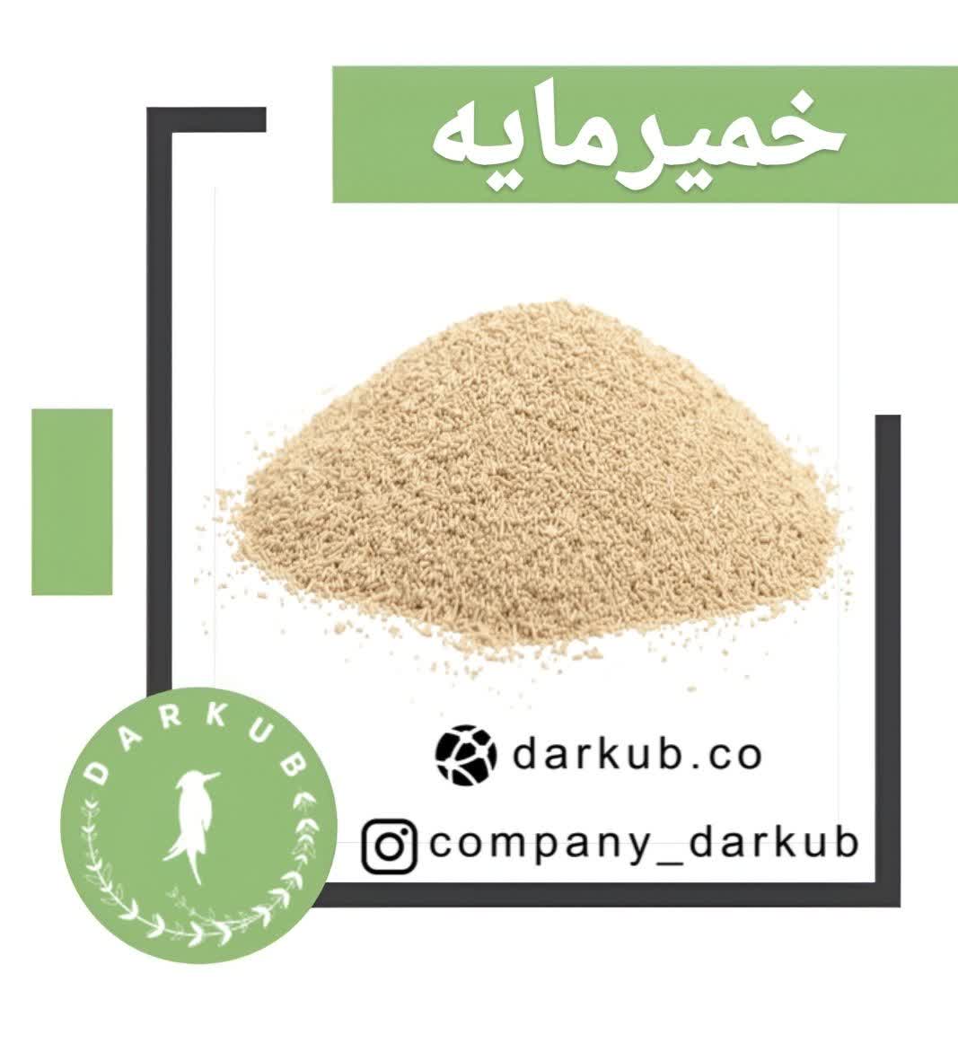 خمیرمایه دز