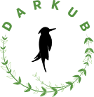 شرکت صنایع غذایی آراز تجارت خاتون 